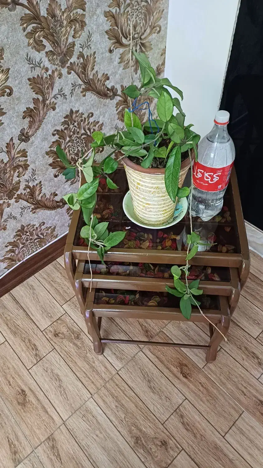 گل هویا|گل و گیاه طبیعی|همدان, |دیوار