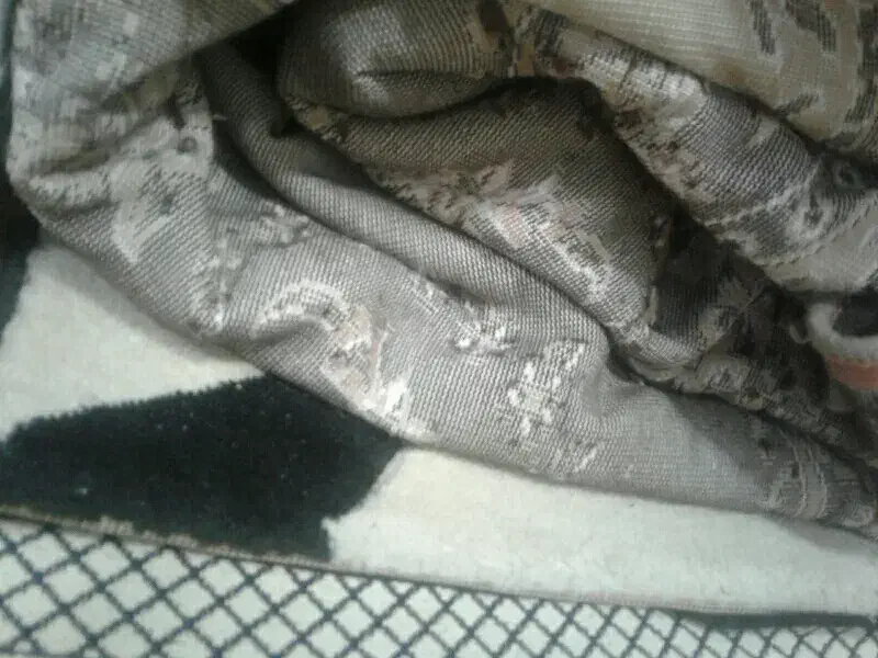 قالی ۱۲ متری گردویی تمیزبدون پارگی|فرش|خرمشهر, |دیوار