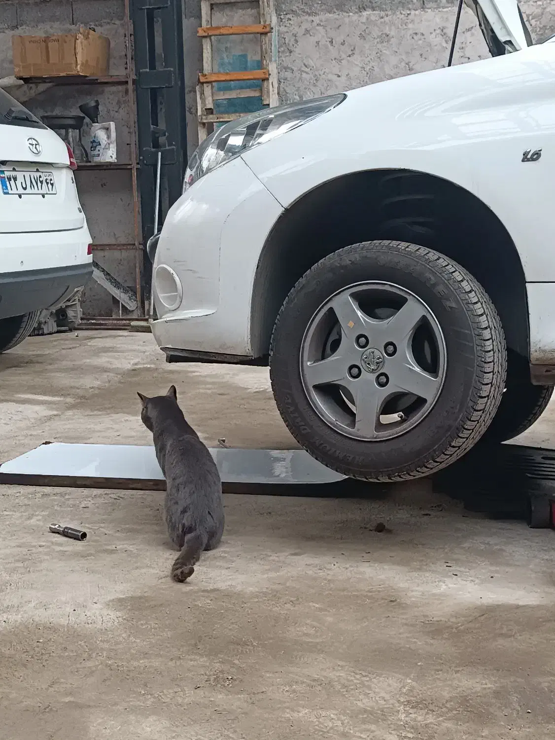 کارت ماشین|اشیا|رشت, سعدی (تختی)|دیوار