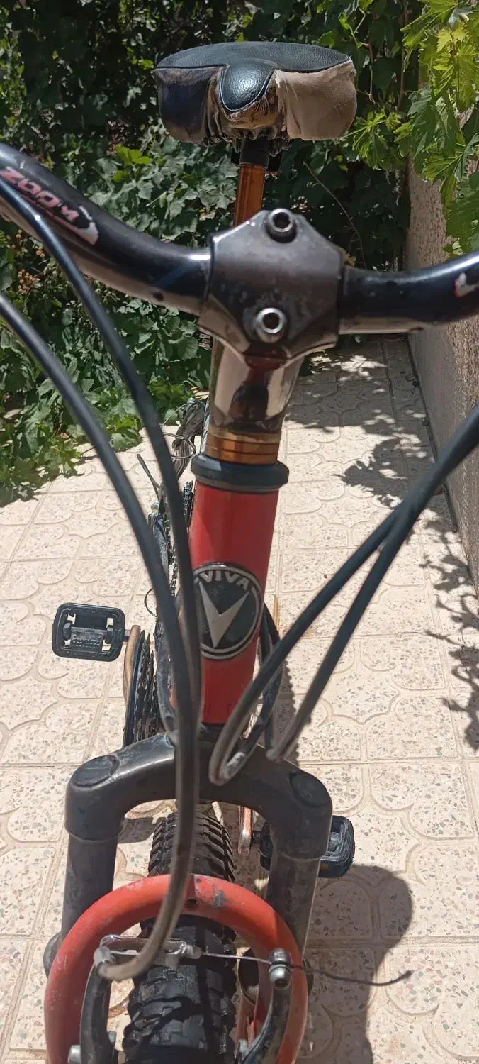 دوچرخه ویوا اصل تایوان|دوچرخه، اسکیت، اسکوتر|داران, |دیوار