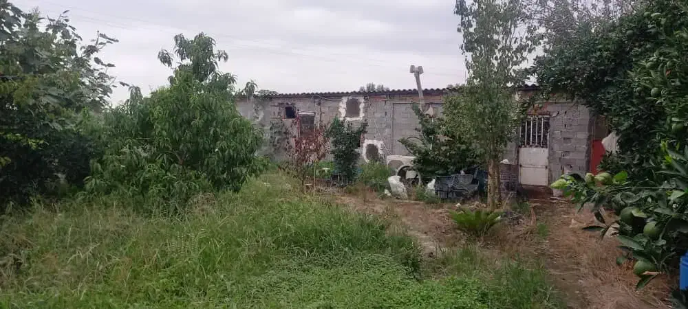 ۵۰۰ متر زمین باغی مسکونی|فروش زمین و ملک کلنگی|آمل, |دیوار