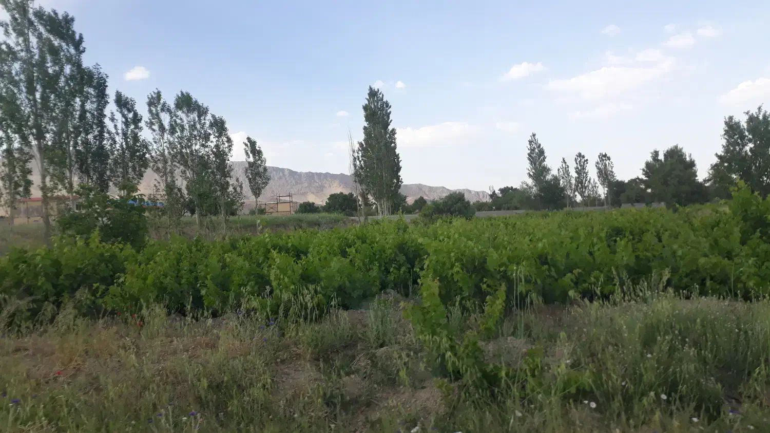 زمین فروشی ابتدای  روستای طنجران.توافقی|فروش زمین و ملک کلنگی|خمین, |دیوار