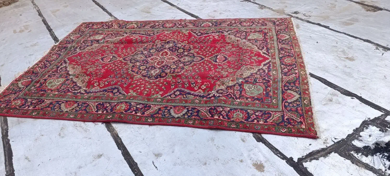 فرش دست بافت|فرش|مرند, |دیوار