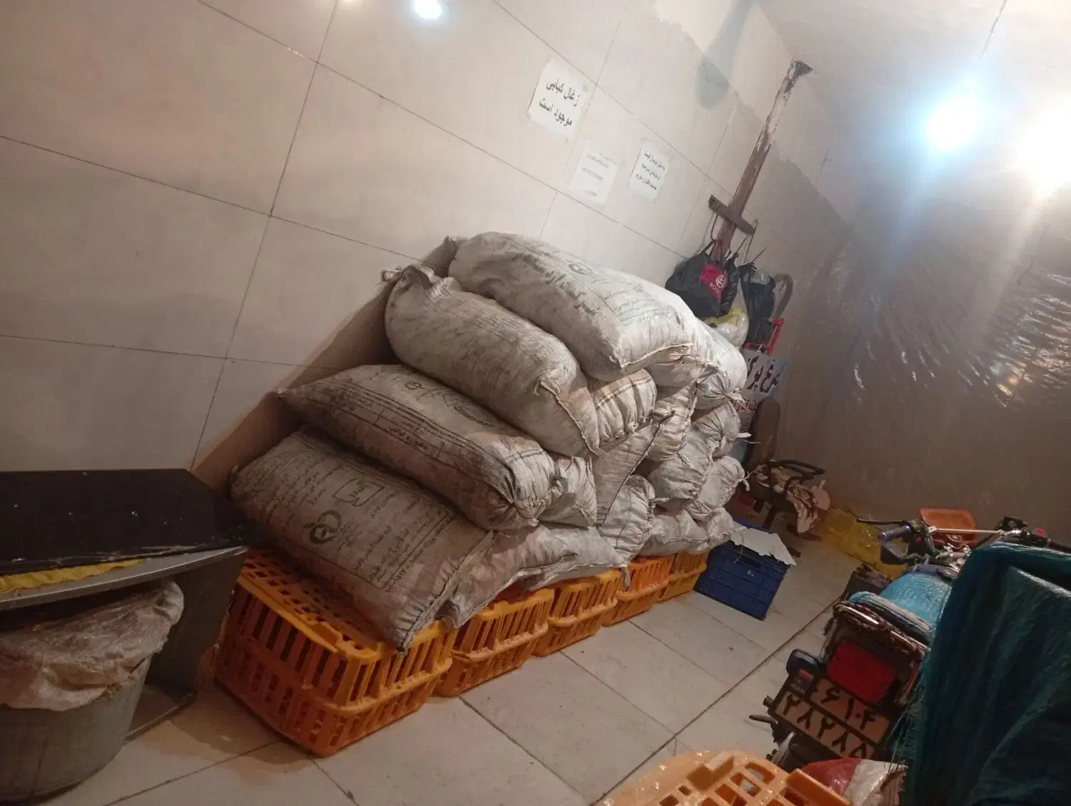 فروش عمده و تکی|فعالیت داوطلبانه|نورآباد, |دیوار