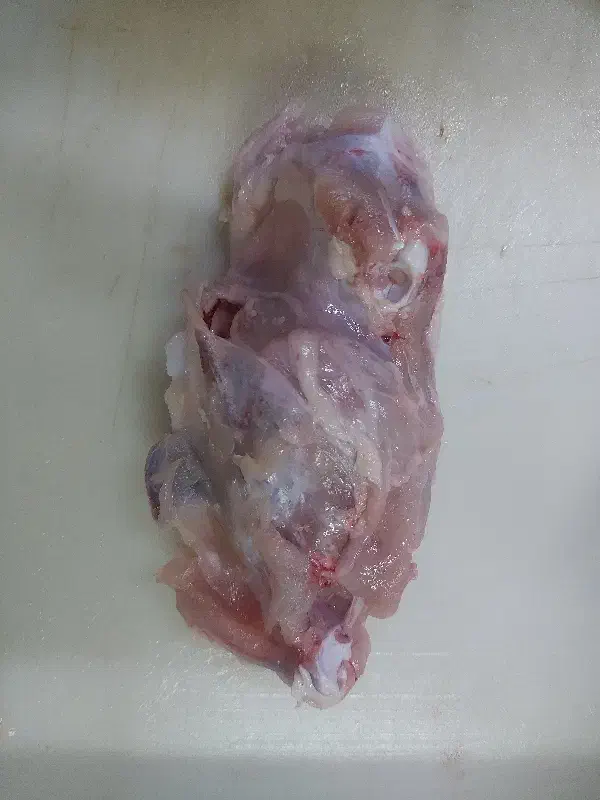 اسکلت پورگوشت بابچه فیله|لوازم جانبی حیوانات|قدس, شهر‌قدس|دیوار