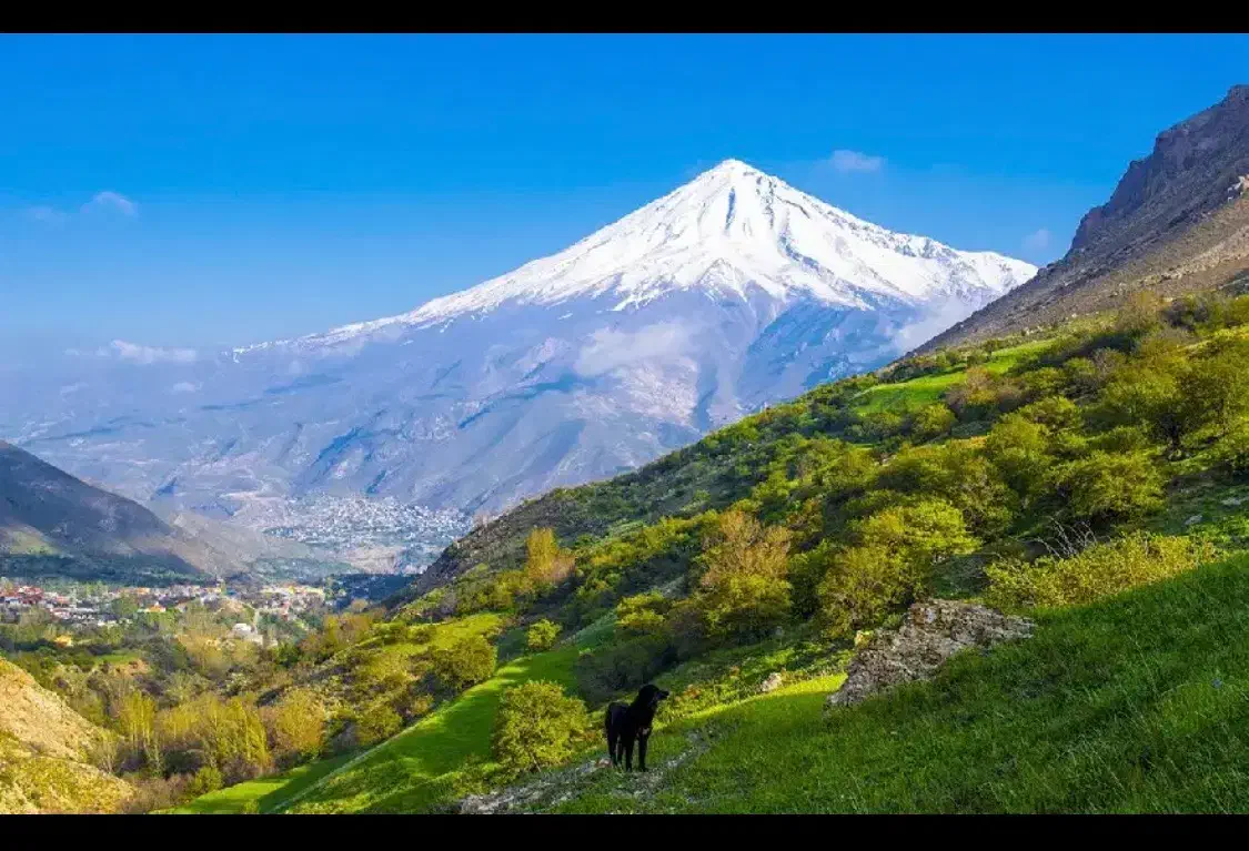 اجتماعی|فعالیت داوطلبانه|ری, دولتآباد|دیوار