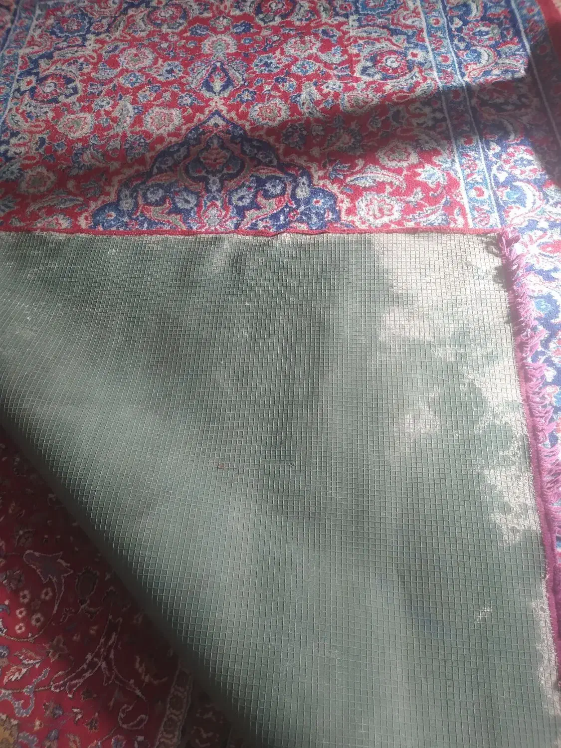 فرش ۶ متری|فرش|ساوه, |دیوار