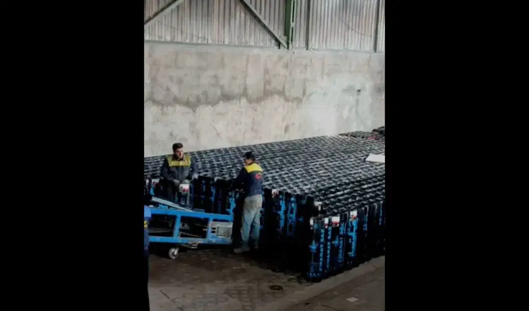 نور ایزوگام اصلی بخر 1200|خدمات پیشه و مهارت|نورآباد, |دیوار