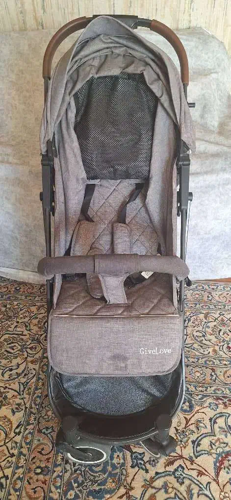 کالسکه بچه گیولاو|کالسکه و لوازم جانبی|اصفهان, باغ دریاچه|دیوار