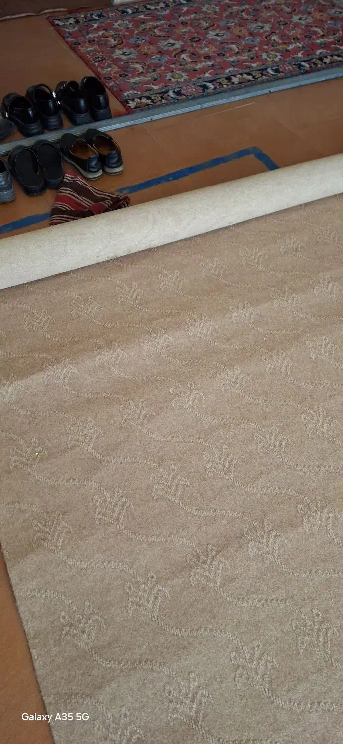 موکت ظریف مصور|موکت|اردبیل, |دیوار