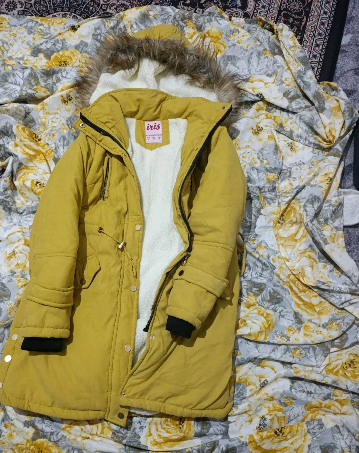 کت نو نو هستش|لباس|یاسوج, |دیوار