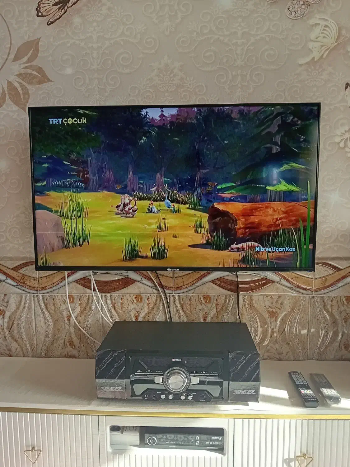 تلویزیون|تلویزیون و پروژکتور|لیلان, |دیوار