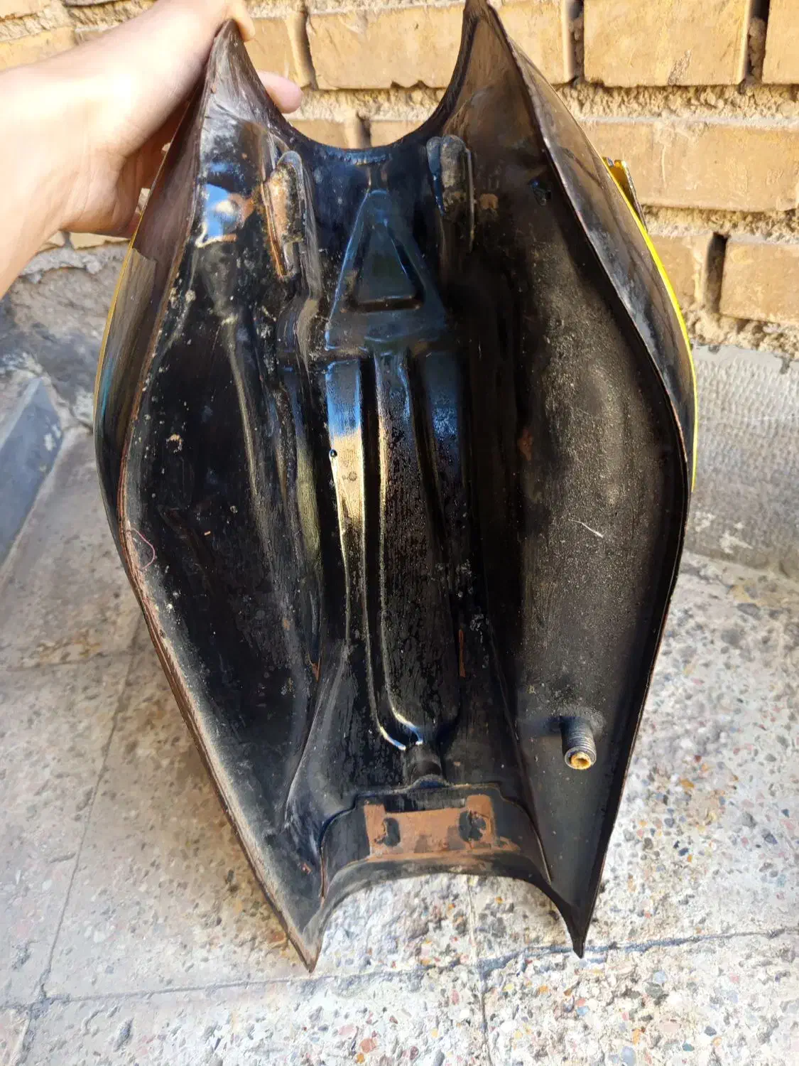 کفتر|پرنده|خرمشهر, |دیوار