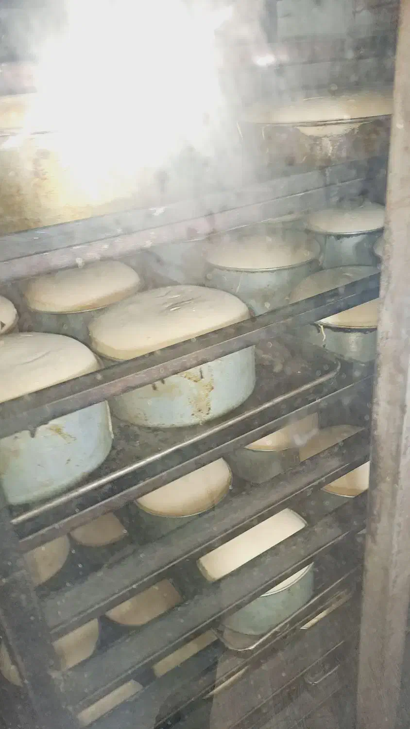 فر ۱۲ دیس گردان شیرینی پزی و کلوچه پزی|فروشگاه و مغازه|کومله, |دیوار