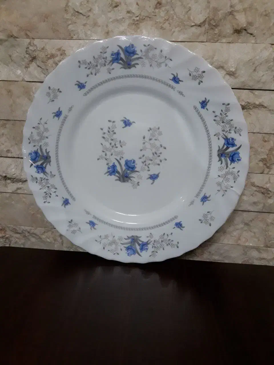 ۶دست بشقاب پلوخوری ارکوپال|ظروف سرو و پذیرایی|ری, شهادت|دیوار