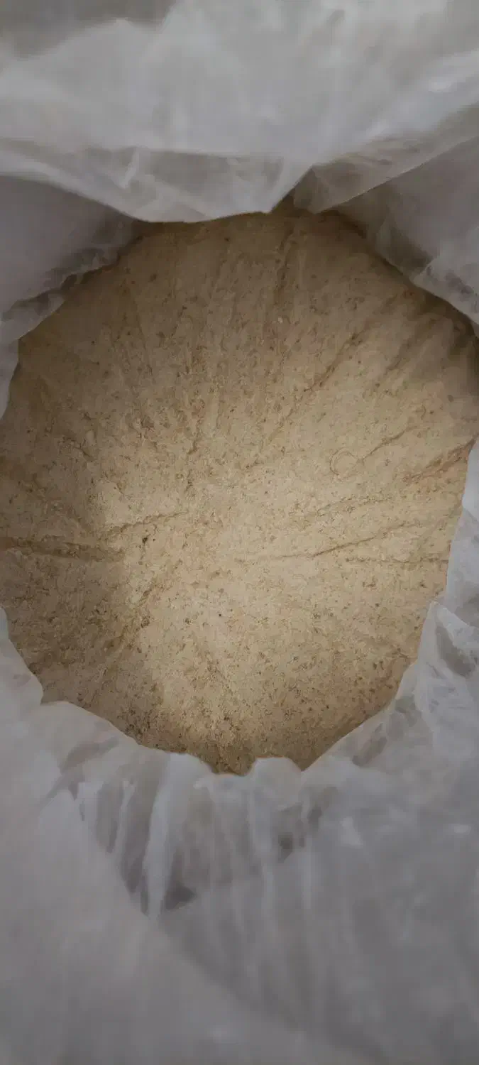 قناری، فنج، عروس، کوتوله، مرغ عشق|لوازم جانبی حیوانات|آران و بیدگل, |دیوار