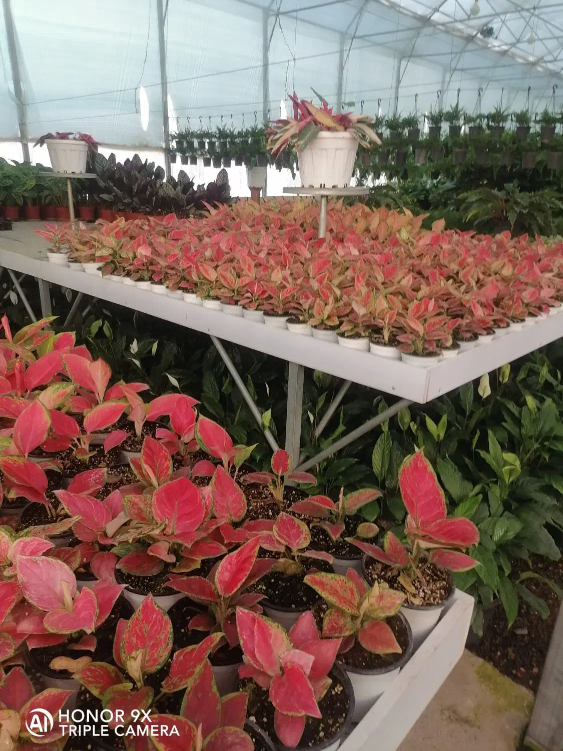 فروشندگی|استخدام خدمات فروشگاه و رستوران|دهدشت, |دیوار