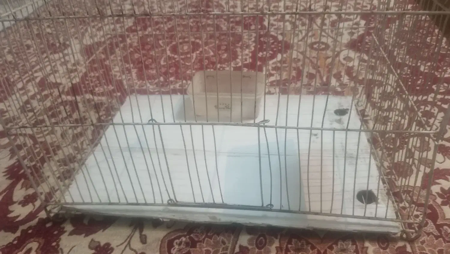 قفسه پرنده|لوازم جانبی حیوانات|مشهد, انصار|دیوار