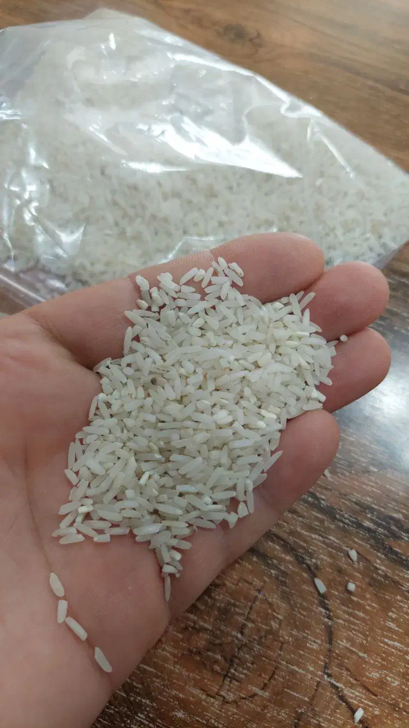 برنج سرلاشه|خوردنی و آشامیدنی|زرگرشهر, |دیوار