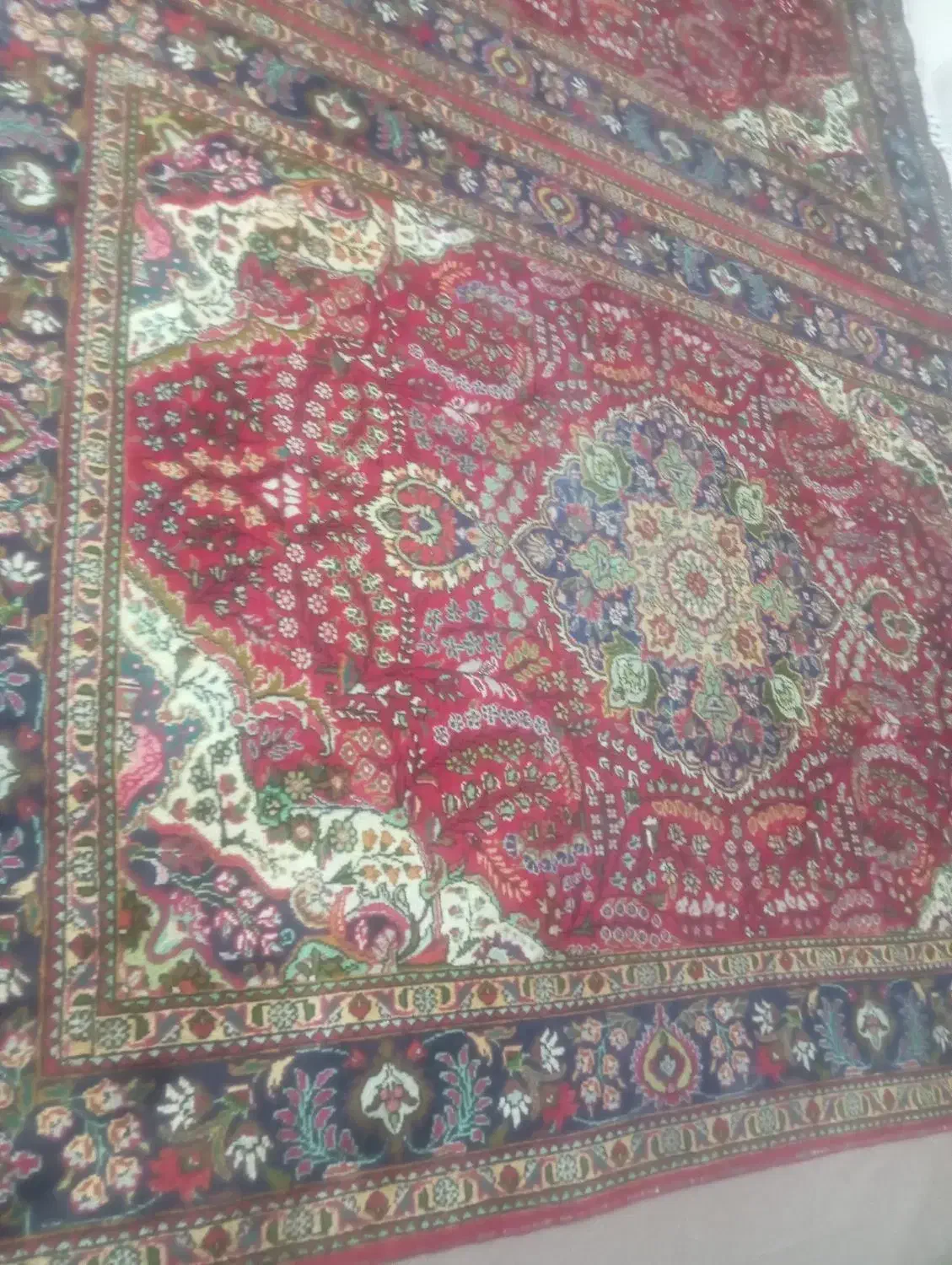 فرش دستباف دوازده متری|فرش|سلماس, |دیوار