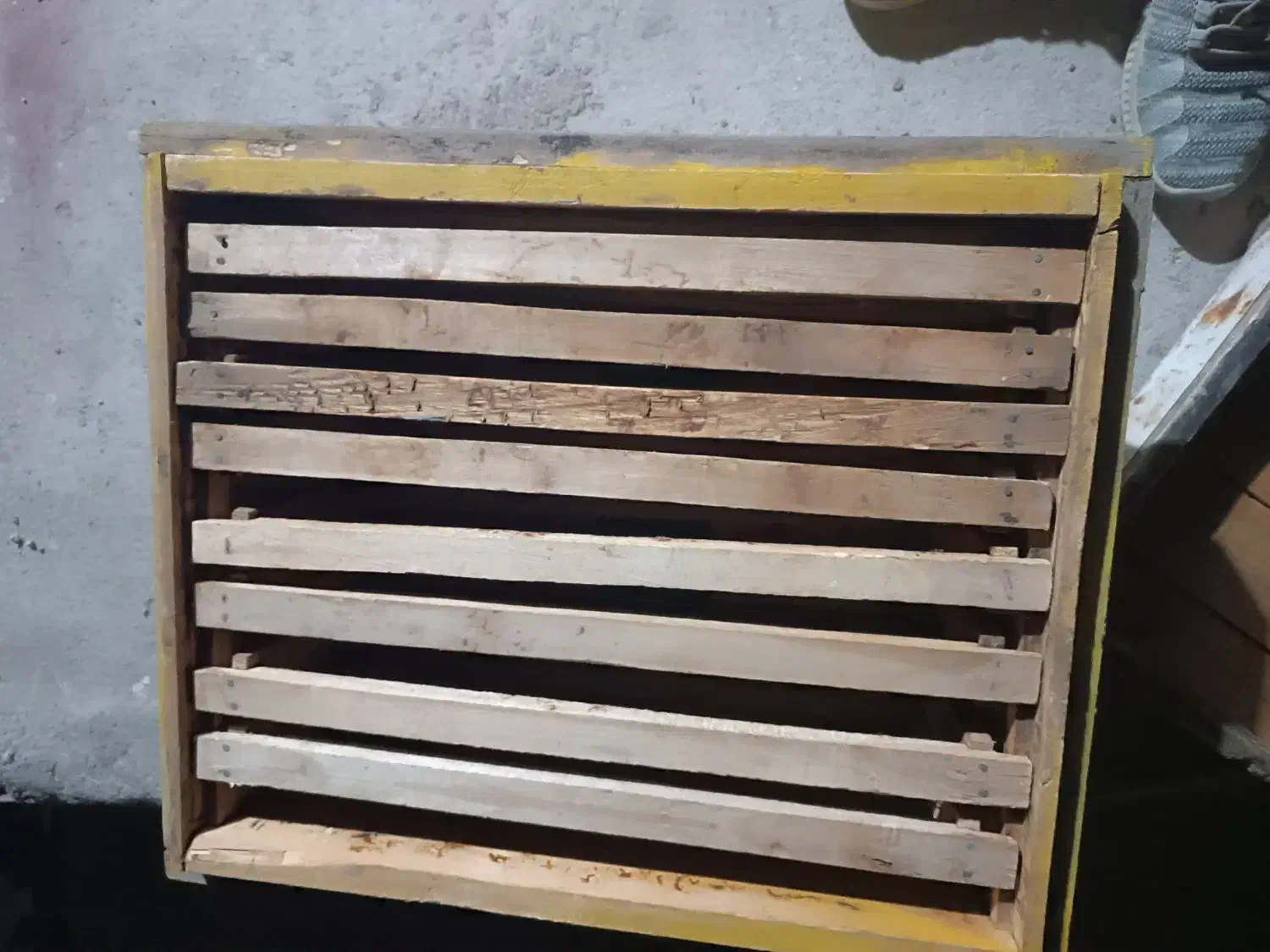 کندوزنبور|حیوانات مزرعه|زرند, |دیوار