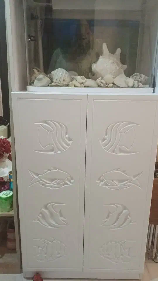 فروش فوری اکواریوم|ماهی|قشم, |دیوار