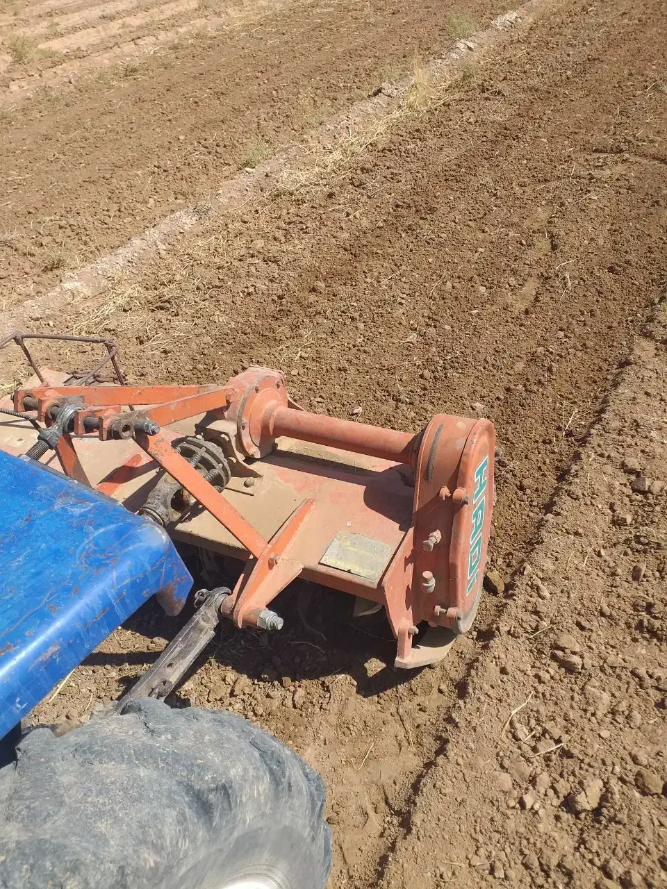 چهار شاخ زنی زعفران(رنده زنی)|خدمات باغبانی و درختکاری|تربت جام, المهدی|دیوار