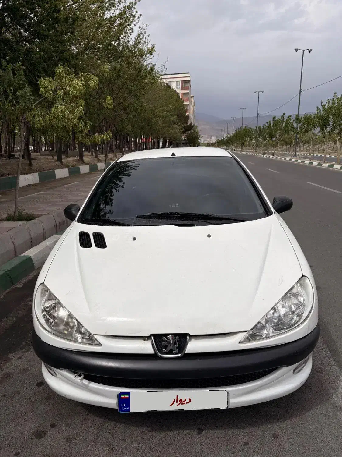 206 tu 3|خودرو سواری و وانت|قدس, شهر‌قدس|دیوار