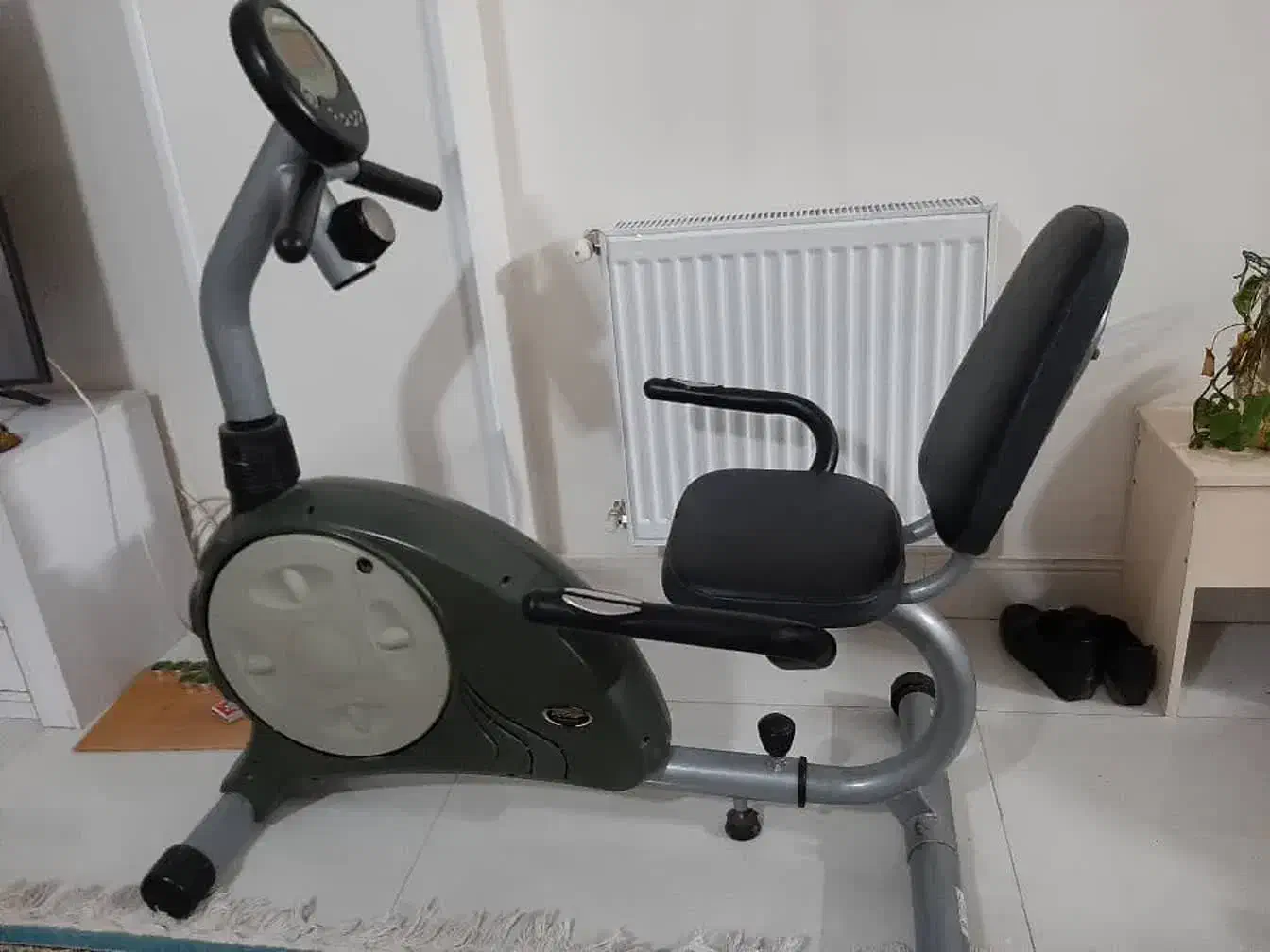 دوچرخه ثابت مبله|تجهیزات ورزشی|شاهین‌شهر, شهرک میلاد|دیوار