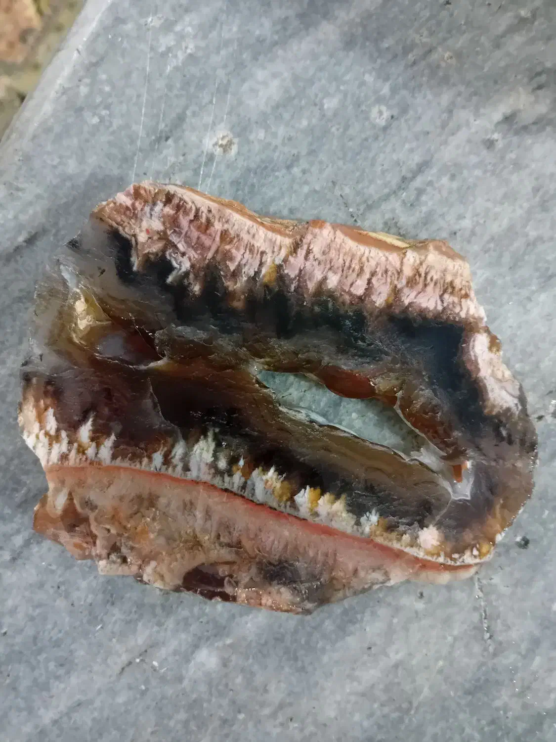 سنگ شجر|جواهرات|زنجان, |دیوار