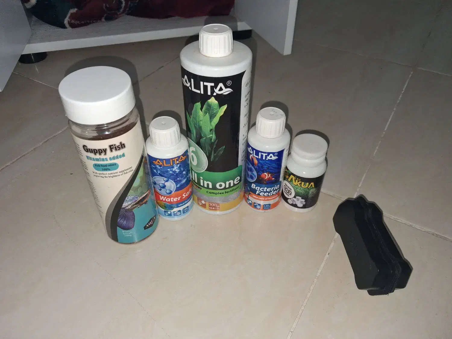 آکواریوم|ماهی|کرمانشاه, |دیوار