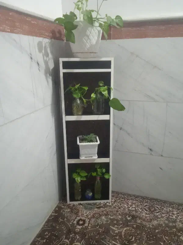 استندگل وآینه قدی ست در حد نو|آینه|قم, باغ شریفی|دیوار