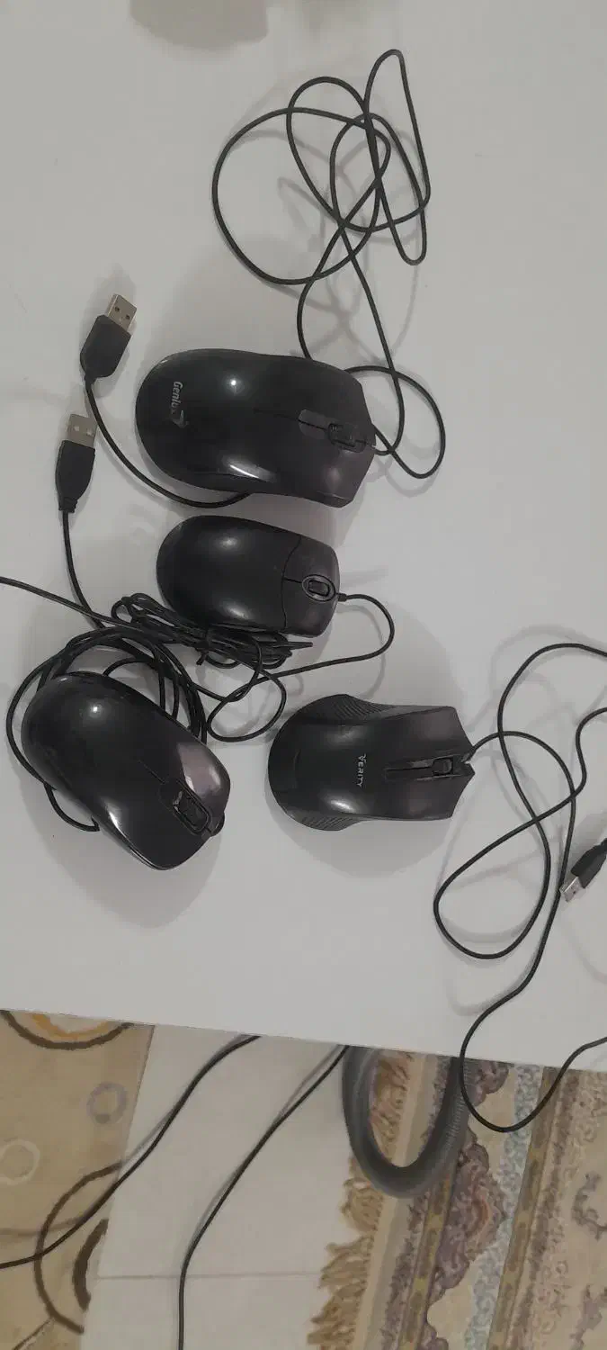 موس کامپیوتر و کابل برق|قطعات و لوازم جانبی رایانه|مشهد, کوی المهدی|دیوار