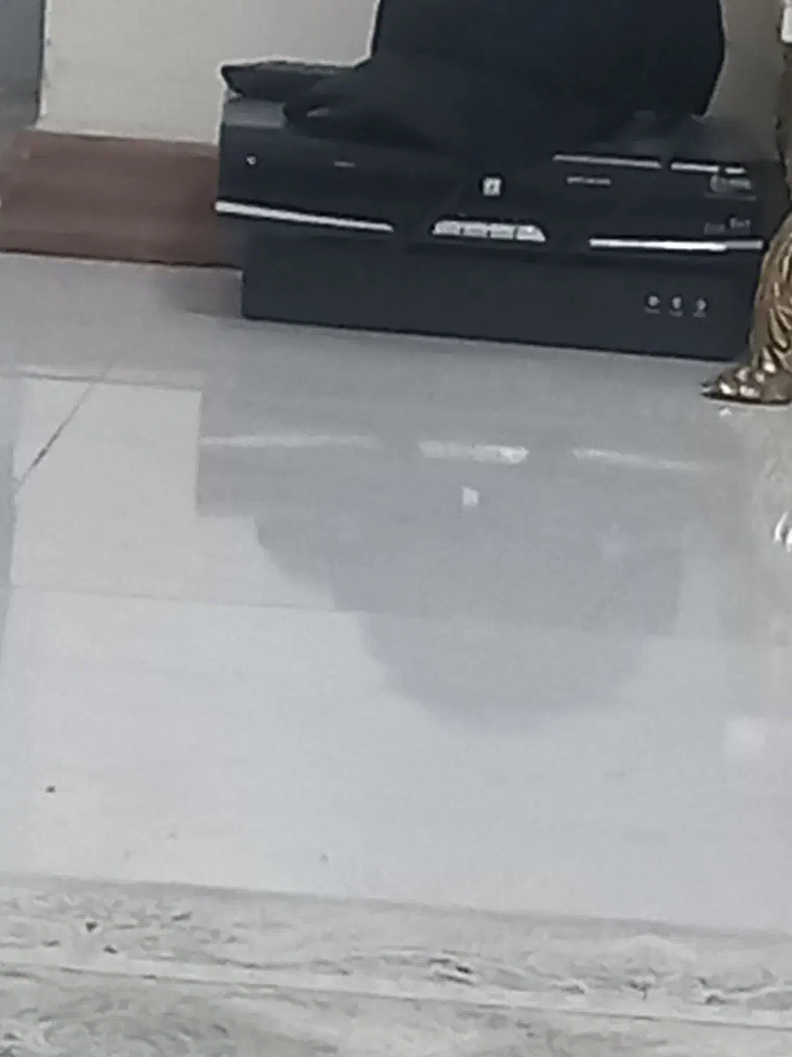 دی وار ۴ کانال هارد ۵۰۰|پخش‌کننده DVD و ویدیو|تهران, حکیمیه|دیوار