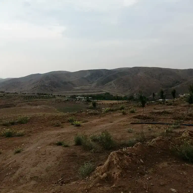قطعات زمین فروشی جاده قدیم نیشابور نرسیده ملک آباد|فروش زمین و ملک کلنگی|ملک‌آباد, |دیوار
