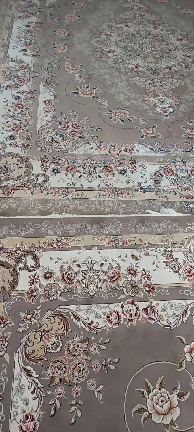 فرش ۱۲متری|فرش|کرمانشاه, |دیوار