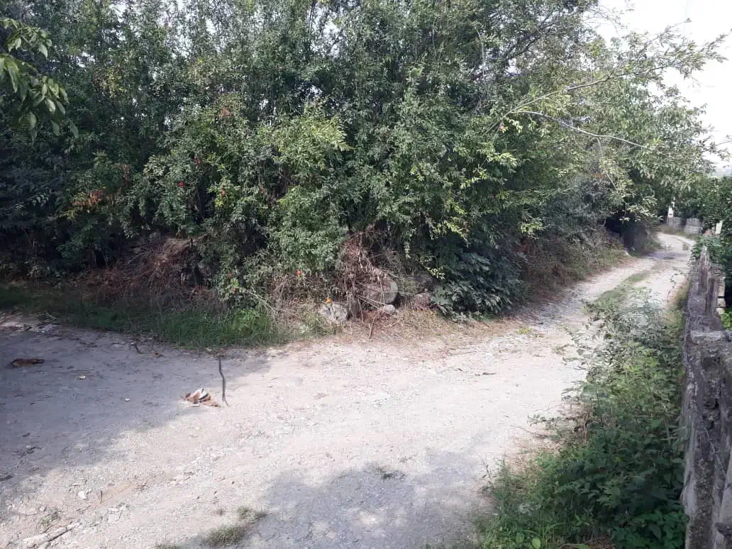 زمین باغی سنددار|فروش زمین و ملک کلنگی|نوکنده, |دیوار