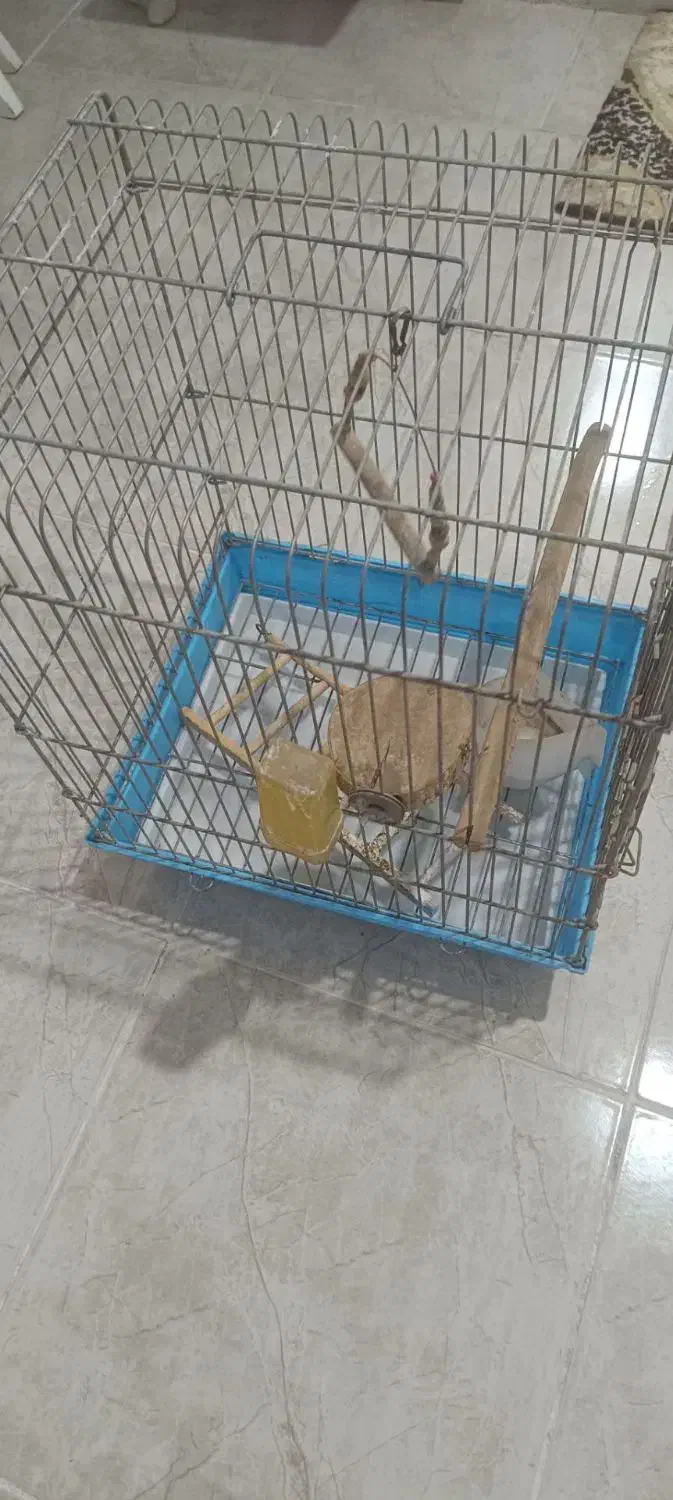 قفس پرنده|لوازم جانبی حیوانات|کرج, خرمدشت|دیوار