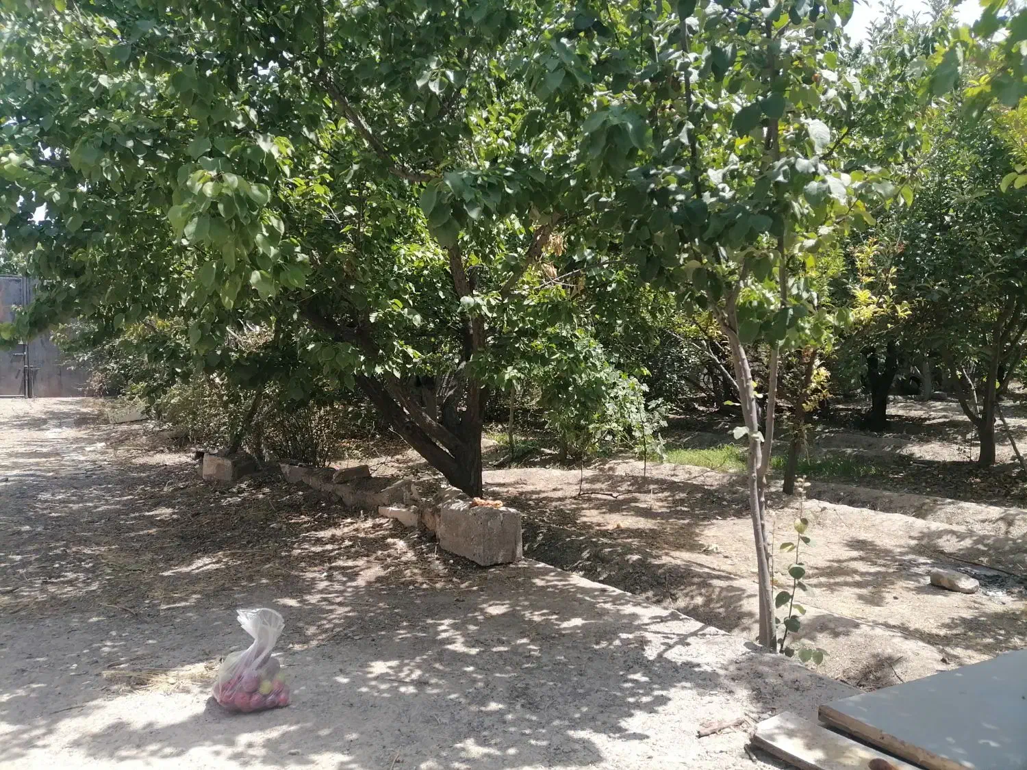 باغ 500 متری|فروش خانه و ویلا|مشهد, امین آباد|دیوار