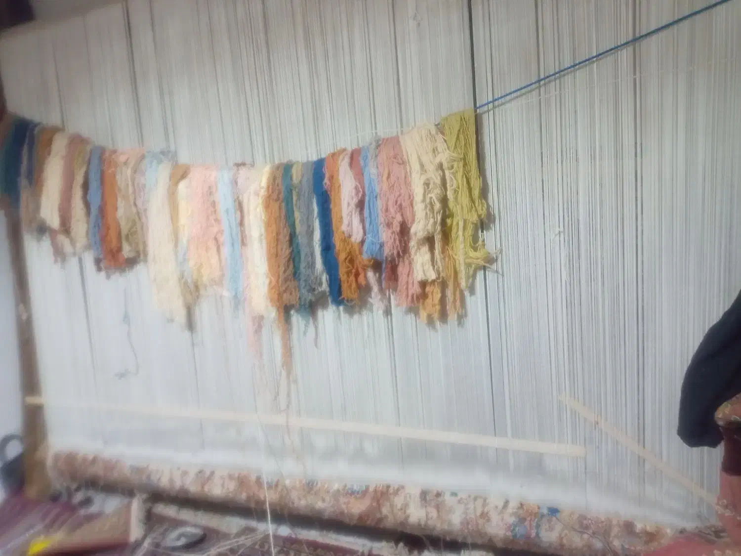 قالی بافت|فرش|ارومیه, |دیوار