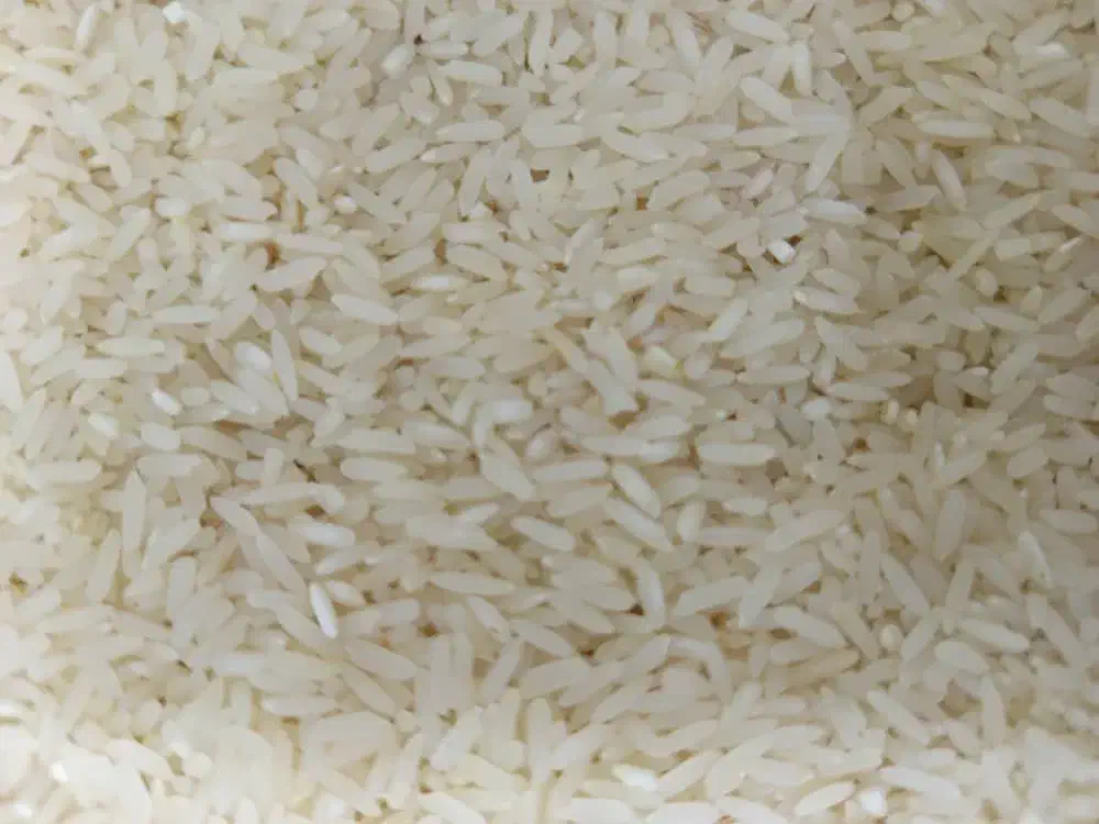 برنج شمیم درجه یک|خوردنی و آشامیدنی|نورآباد ممسنی, |دیوار