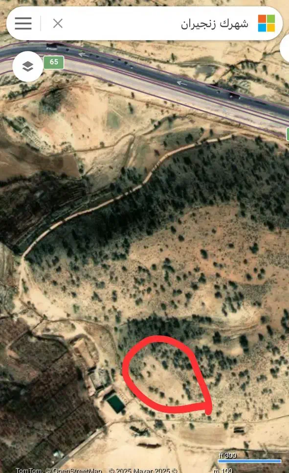 زمین باغ شهری یا باغ کشاورزی|فروش زمین و ملک کلنگی|میمند, |دیوار