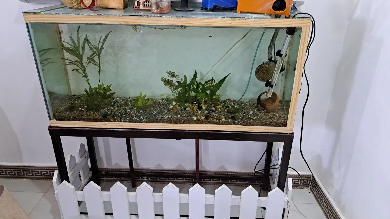 آکواریوم با پایه|ماهی|رشت, کوی حسینی|دیوار