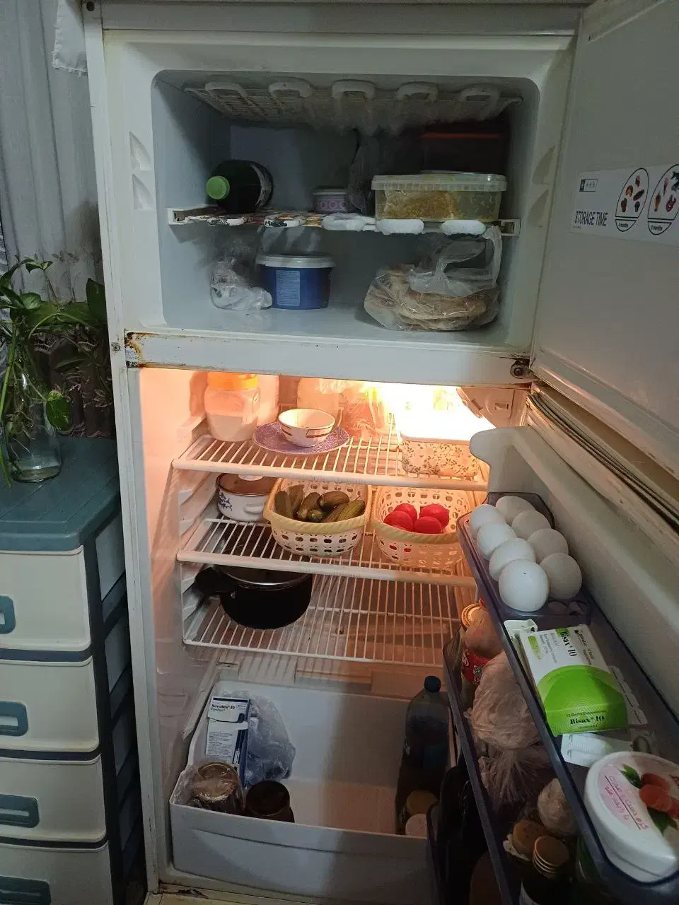 یخچال و فریزر|یخچال و فریزر|رشت, پاستوریزه|دیوار