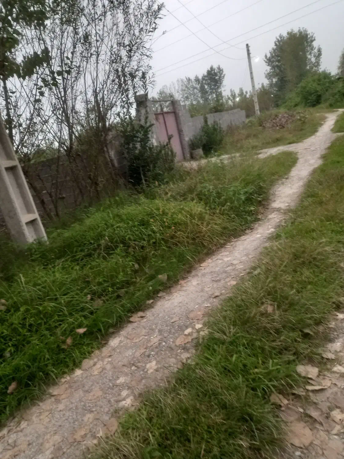 زمین ۴۵۵ متری طلا در قلب سنگر|فروش زمین و ملک کلنگی|رشت, آب و برق|دیوار