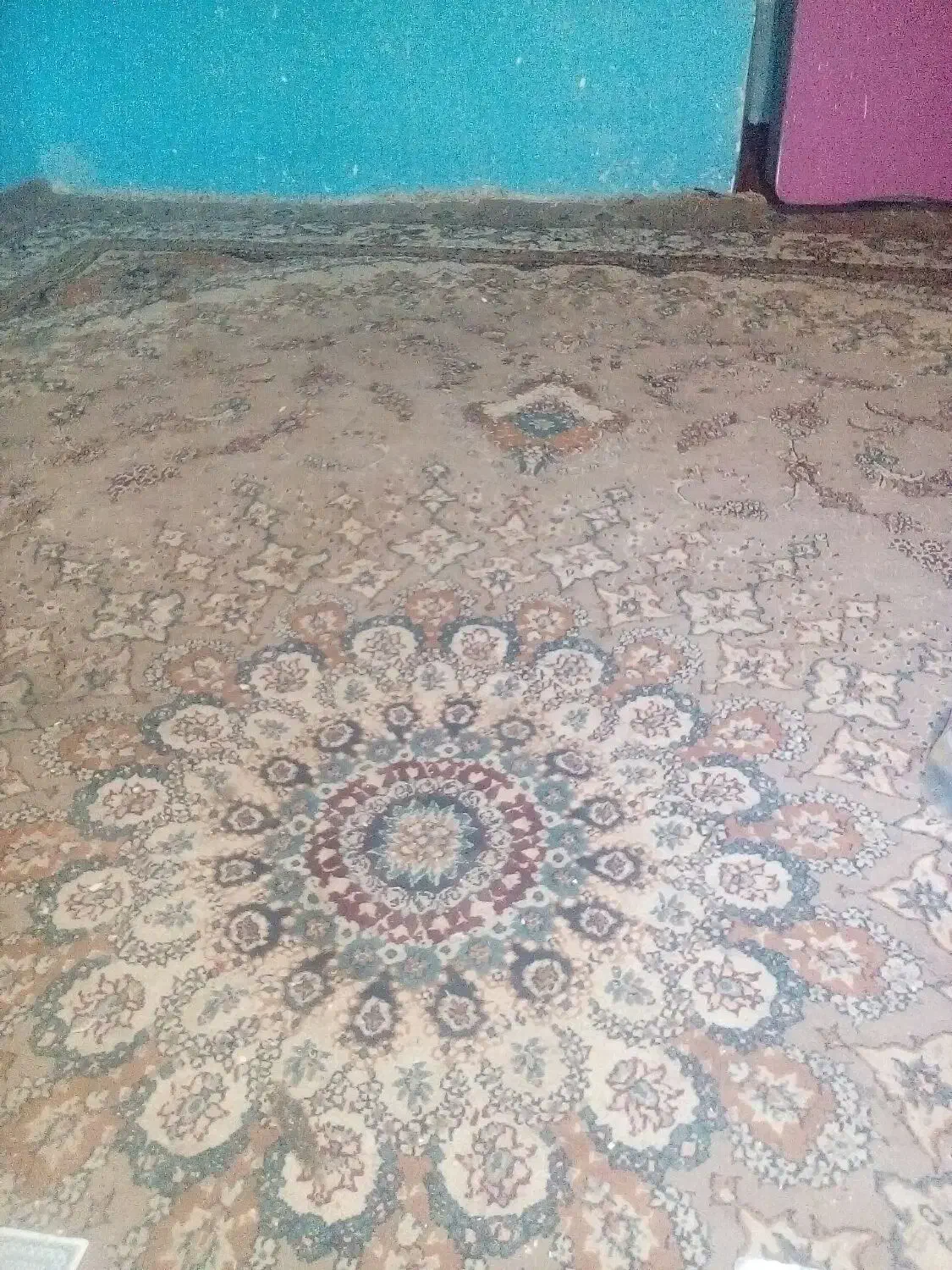 2 عدد فرش 12متری ماشینی 1دست باف|فرش|شیراز, ستارخان|دیوار