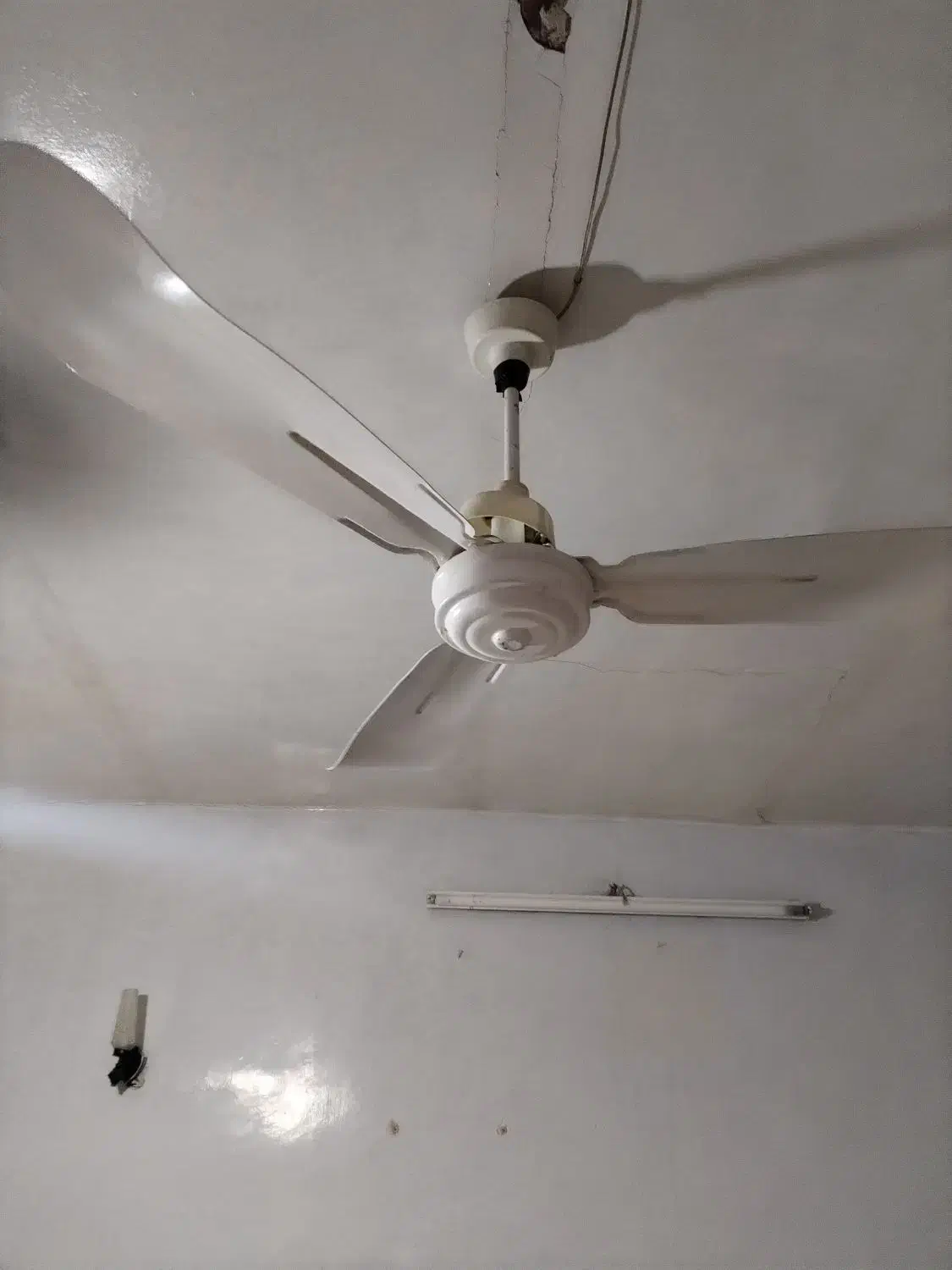 پنکه سقفی|پنکه و تصفیه‌کنندهٔ هوا|شهرکرد, |دیوار