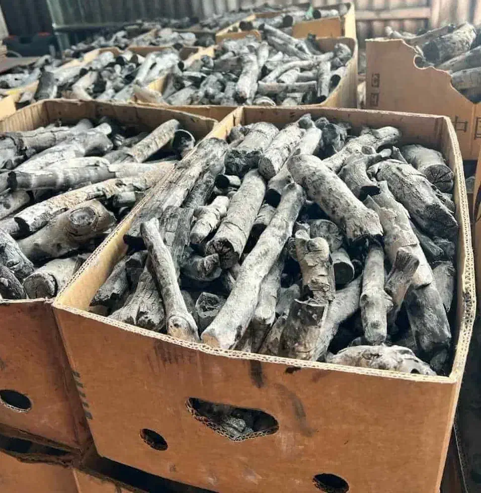 ذغال قلیانی وکبابی|عمده‌فروشی|شال, |دیوار