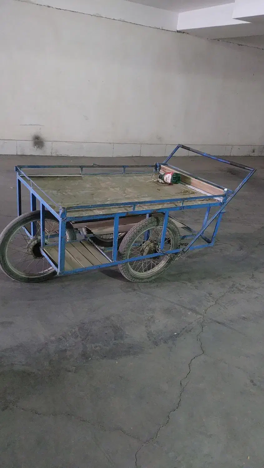 گاری میوه فروشی|فروشگاه و مغازه|محمدشهر, ولدآباد|دیوار