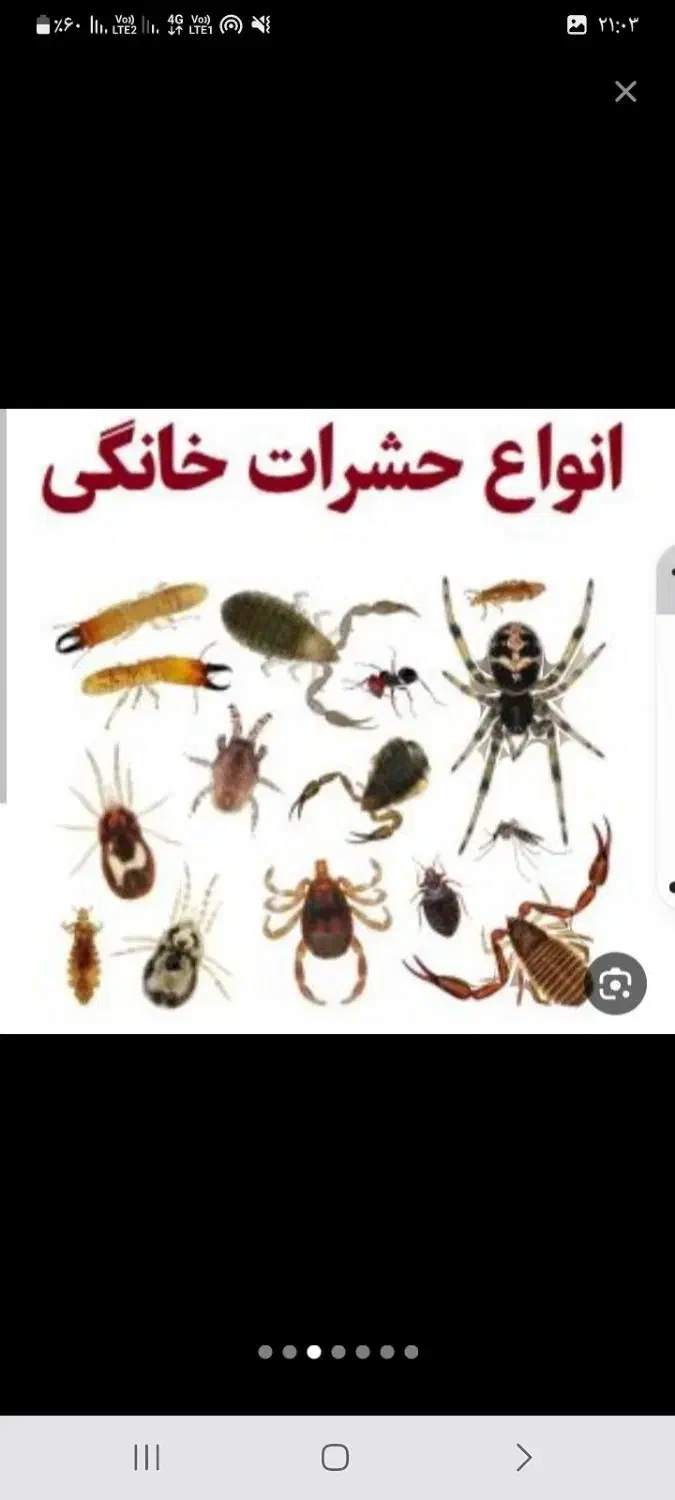 سمپاشی اول تهران سم سوسک وساس درتمام نقاط تهران|خدمات نظافت|تهران, مهران (سیدخندان)|دیوار
